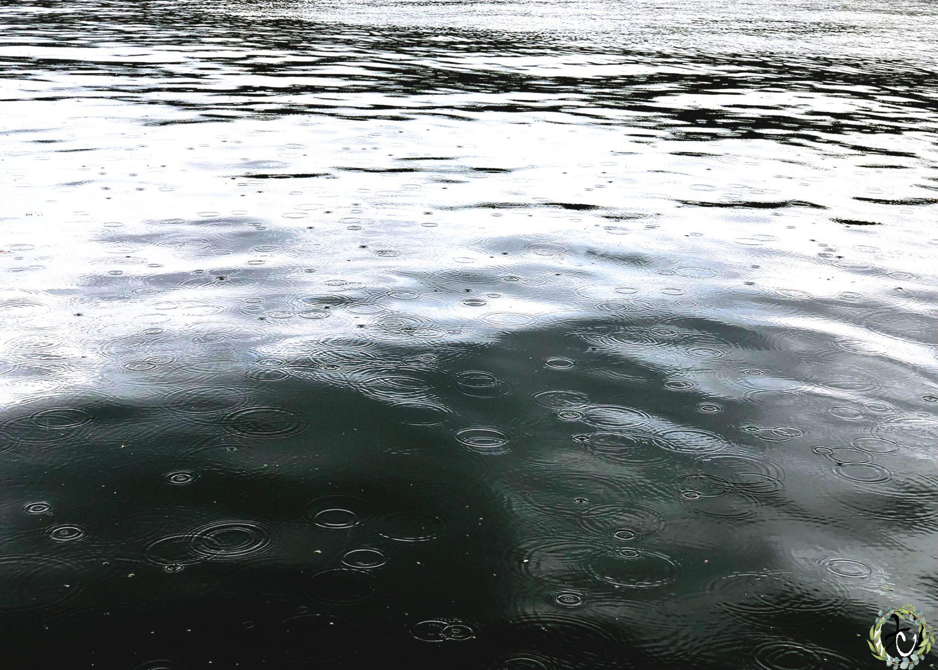 Sous-les-ponts-coule-La-Seine